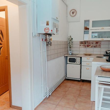 Flh - Apartament Mai Cu Aroma De Cafea Si Ceai Sibiu Buitenkant foto