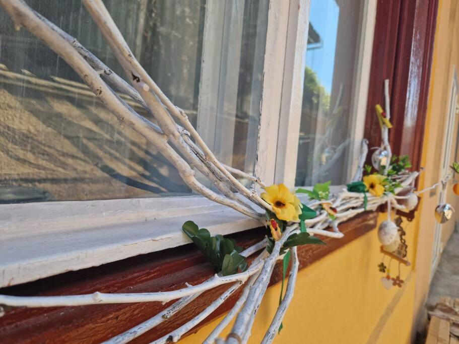 Flh - Apartament Mai Cu Aroma De Cafea Si Ceai Sibiu Buitenkant foto