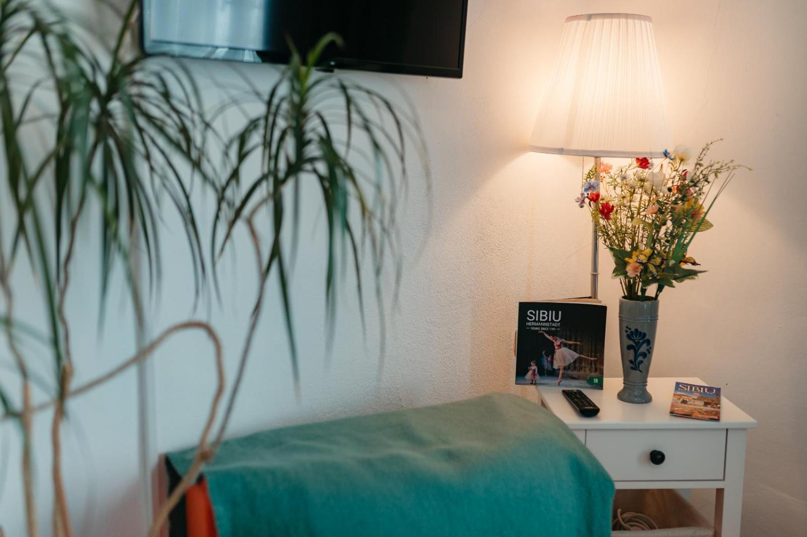 Flh - Apartament Mai Cu Aroma De Cafea Si Ceai Sibiu Buitenkant foto