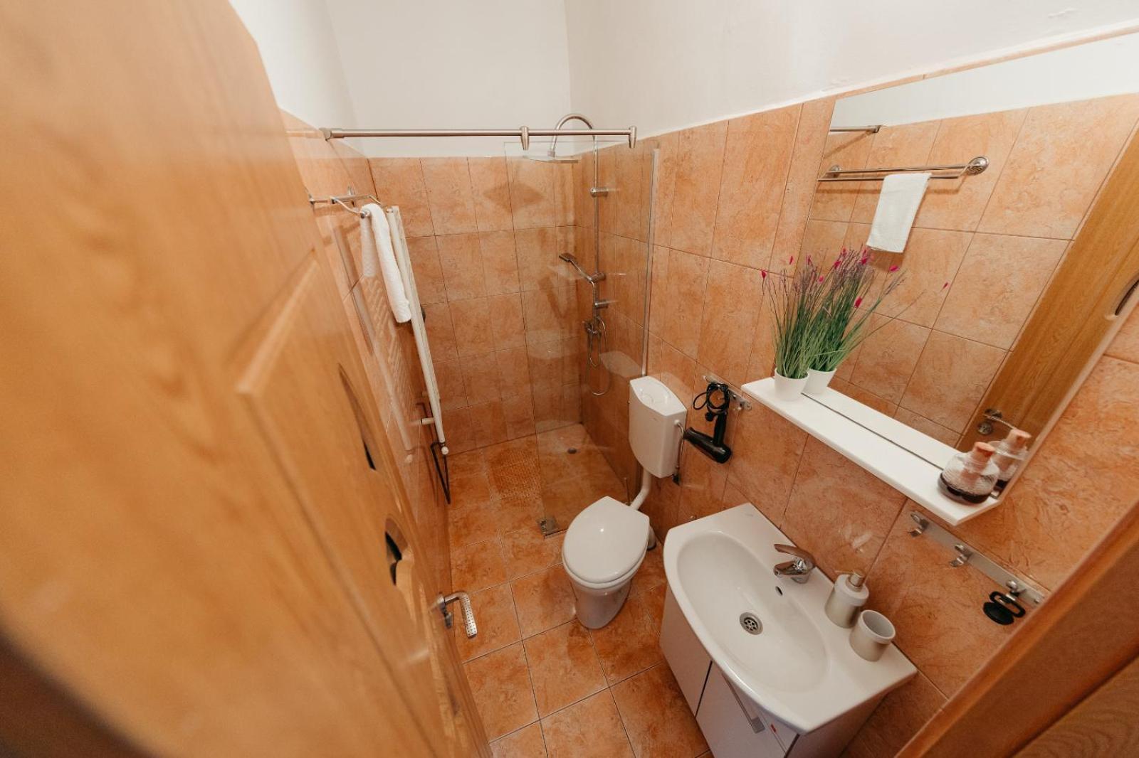 Flh - Apartament Mai Cu Aroma De Cafea Si Ceai Sibiu Buitenkant foto