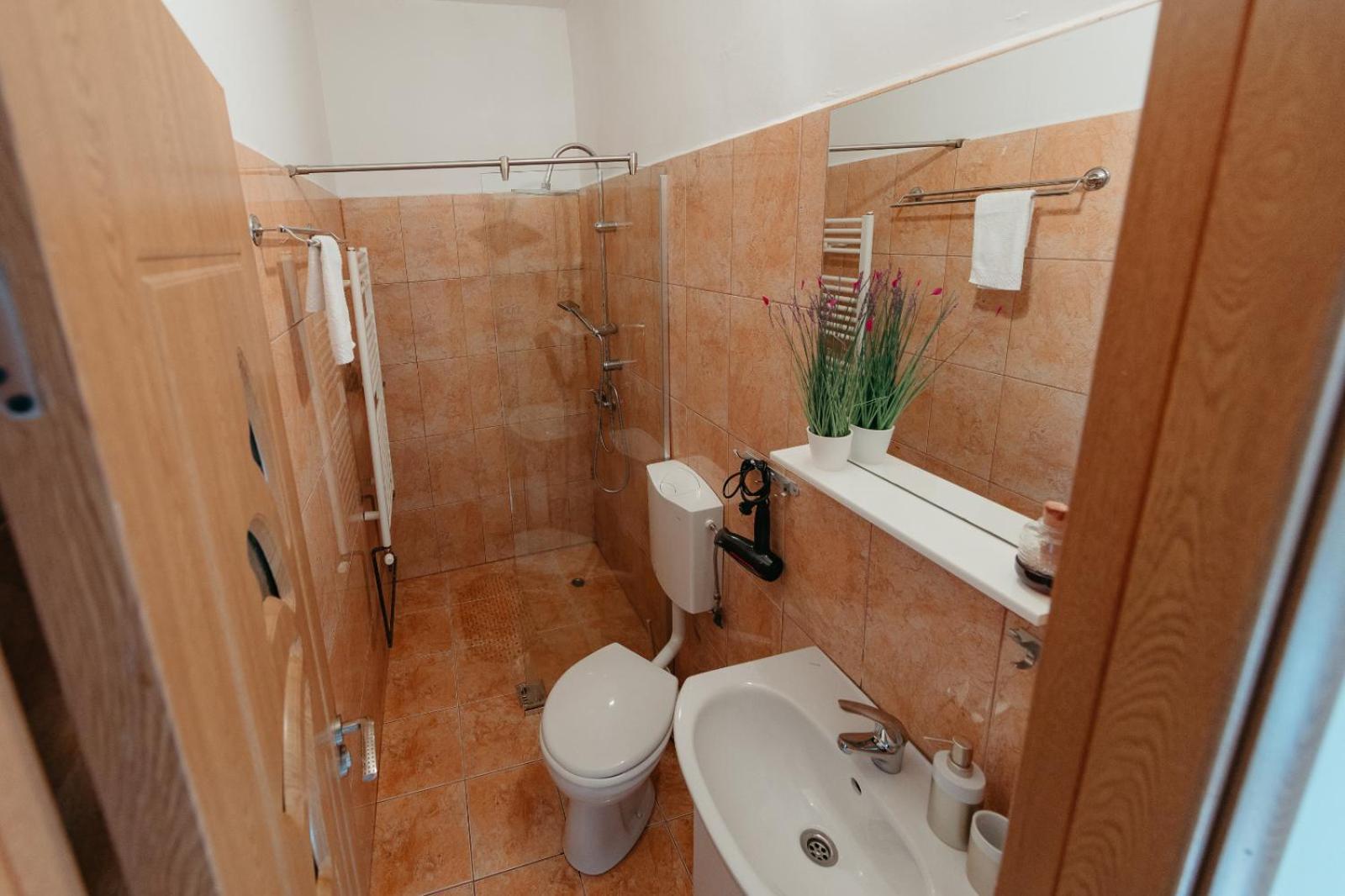 Flh - Apartament Mai Cu Aroma De Cafea Si Ceai Sibiu Buitenkant foto