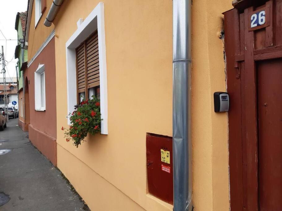 Flh - Apartament Mai Cu Aroma De Cafea Si Ceai Sibiu Buitenkant foto